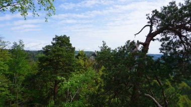 Bastei manzaralı Elbe nehrinin güzel yaz manzarası. Sakson İsviçre ulusal parkının renkli sabah manzarası, Almanya, Avrupa. Kum Taşı Dağları 'nın muhteşem manzarası, Saksonya.