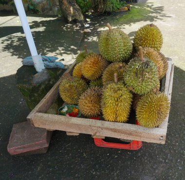 Bu Durian. Bu Endonezya 'dan ünlü bir meyve. Durian' ın eşsiz bir tadı ve güçlü bir kokusu var.