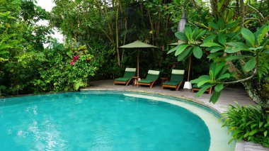 Ubud, Bali, Endonezya - 14 Temmuz 2024: Adiwana Suweta Ubud Bali tatil beldesinde havuz manzarası
