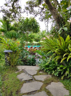 Ubud, Bali, Endonezya - 14 Temmuz 2024: Adiwana Suweta Ubud Bali tatil beldesinde havuz manzarası