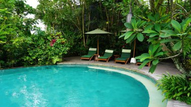 Ubud, Bali, Endonezya - 14 Temmuz 2024: Adiwana Suweta Ubud Bali tatil beldesinde havuz manzarası