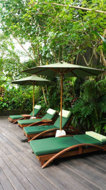 Ubud, Bali 'deki Bali bahçesinin tropikal bitkileri