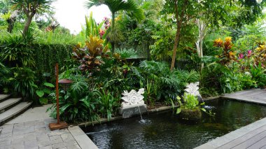 Ubud, Bali 'deki Bali bahçesinin tropikal bitkileri