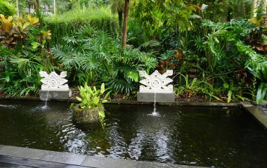 Ubud, Bali 'deki Bali bahçesinin tropikal bitkileri