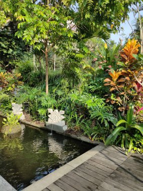 Ubud, Bali 'deki Bali bahçesinin tropikal bitkileri