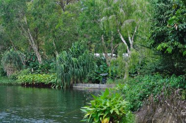 Singapur 'daki Marina Körfezi Kumları' nda yapay gölü olan güzel bir bahçe.