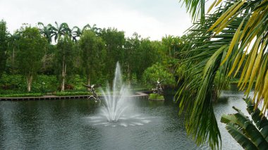 Singapur 'daki Marina Körfezi Kumları' nda yapay gölü olan güzel bir bahçe.