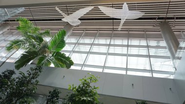 Singapore - January 20, 2025: Interior of Singapore Changi Airport. Changi Airport is the primary civilian airport for Singapore and one of the largest transportation hubs in Southeast Asia. clipart