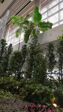 Singapur - 20 Ocak 2025: Singapur Changi Havaalanı. Changi Havalimanı Singapur 'un birincil sivil havaalanıdır ve Güneydoğu Asya' nın en büyük ulaşım merkezlerinden biridir..