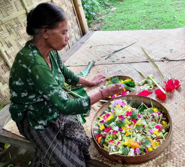 Bali, Endonezya - 18 Ocak 2025 Balili kadın Canang Sari çiçeği yapıyor