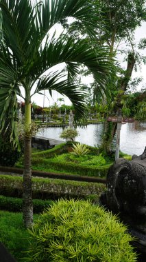 Bali, Endonezya - 14 Temmuz 2024: Endonezya 'daki Su Sarayı Tirta Ganga