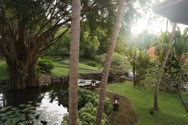 Nusa Dua, Bali, Endonezya - 18 Ocak 2025: Nusa Dua, Bali, Endonezya 'daki Grand Hyatt Bali tatil beldesinde tropikal ağaçlı lotus havuzu veya laguna.