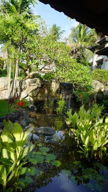 Nusa Dua, Bali, Endonezya - 18 Ocak 2025: Nusa Dua, Bali, Endonezya 'daki Grand Hyatt Bali tatil beldesinde restoran ve tropikal ağaçlar