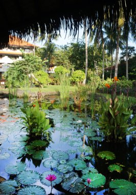 Nusa Dua, Bali, Endonezya - 18 Ocak 2025: Nusa Dua, Bali, Endonezya 'daki Grand Hyatt Bali tatil beldesinde tropikal ağaçlı lotus havuzu veya laguna.