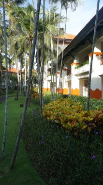 Nusa Dua, Bali, Endonezya - 18 Ocak 2025: Nusa Dua, Bali, Endonezya 'daki Grand Hyatt Bali tatil köyündeki otel binası ve tropikal ağaçlar.