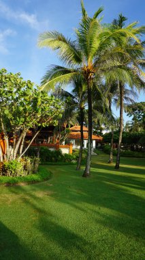 Nusa Dua, Bali, Endonezya - 18 Ocak 2025: Endonezya 'da Bali, Nusa Dua' daki Grand Hyatt Bali tatil beldesinde lüks villa.