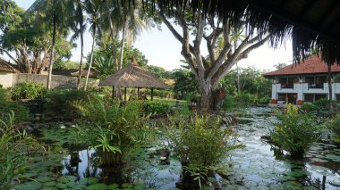 Nusa Dua, Bali, Endonezya - 18 Ocak 2025: Nusa Dua, Bali, Endonezya 'daki Grand Hyatt Bali tatil beldesinde tropikal ağaçlı lotus havuzu veya laguna.