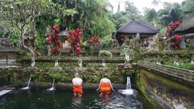 Bali, Endonezya - 11 Ocak 2025: Pura Gunung Kawi Sebatu Gianyar Tapınağı Ubud, Bali Endonezya