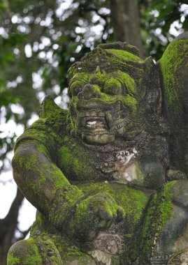 Bali, Endonezya - 13 Ocak 2025: Hindu tapınakları yakınlarındaki Ubud Maymun Ormanı Heykeli Padangtegal, Ubud, Bali, Endonezya 13 Ocak 2025