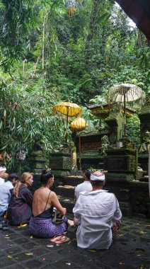 Ubud, Bali, Endonezya - 19 Ocak 2025: 19 Ocak 2025 'te Endonezya' nın Ubud kentindeki Sebatu kutsal su kaynağının yakınındaki Bali Tapınağı Pura Panti Kauh yakınlarındaki insanlar