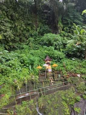 Ubud, Bali, Endonezya - 19 Ocak 2025: Bali tapınağı Pura Panti Kauh 19 Ocak 2025 'te Endonezya' nın Ubud kentindeki kutsal su kaynağı yakınlarında