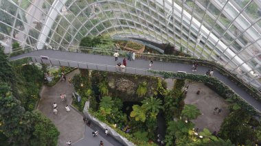 Singapur - 21 Ocak 2025: İnsanlar 21 Ocak 2025 'te Singapur Körfezi yakınlarındaki Bahçe Kubbesi' ne gidiyorlar.