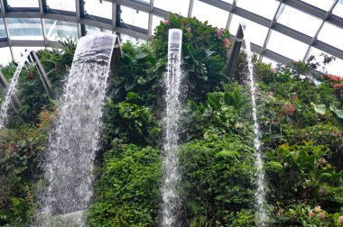 Singapur - 21 Ocak 2025: Singapur Körfezi yakınlarındaki Bahçe Kubbesi Bulutu 'nun içindeki Bitkiler
