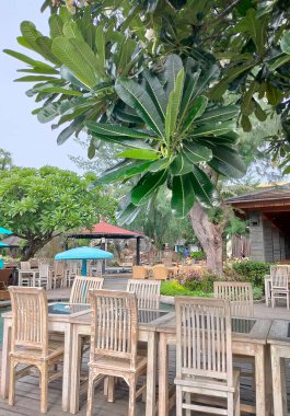Gili Trawangan, Endonezya -- 16 Ocak 2025: Gili Trawangan, Endonezya sahilindeki bar