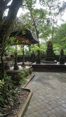 Ubud Maymun Ormanı - Maymunlar ve Hindu Tapınağı Padangtegal, Ubud, Endonezya 'da Bali
