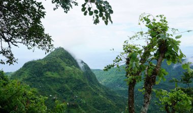 Mountain rice terraces in Bali at Indonesia.