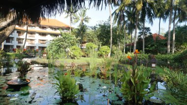 Nusa Dua, Bali, Endonezya - 18 Ocak 2025: Nusa Dua, Bali, Endonezya 'daki Grand Hyatt Bali tatil beldesinde tropikal ağaçlı lotus havuzu veya laguna.