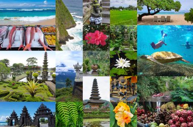 Endonezya 'daki Bali Adası manzaralı görüntüler.