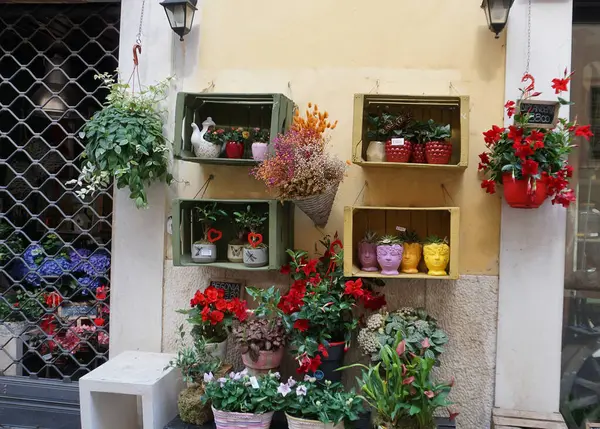 Verona, İtalya - 12 Mayıs 2025 Verona 'nın dar sokaklarında güzel dekore edilmiş küçük pastaneler.