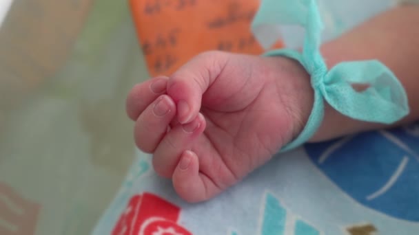 Detailní Rozkošná Malá Nahá Ruka Prsty Novorozence Něžná Dětská Paže — Stock video