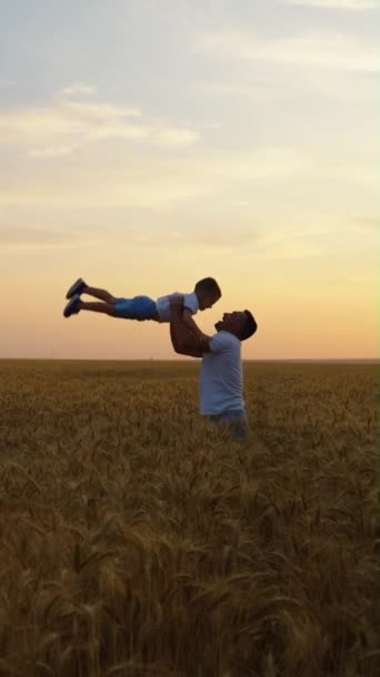 垂直屏风 日落时分 慢动作的爸爸把小男孩扔到麦田的空中 Arc拍摄了快乐的父母和孩子享受在一起的时光 联系的概念 — 图库视频影像