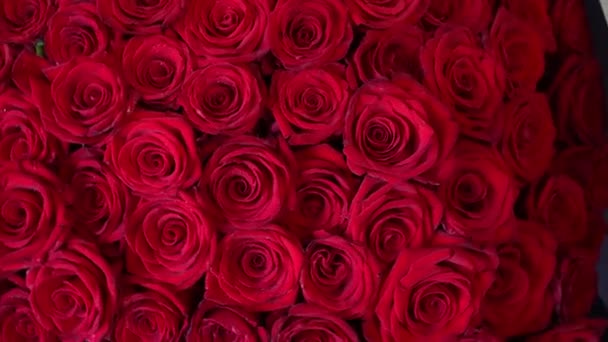 Bouquet Rotatif Roses Rouges Pour Journée Des Vilentines Haut Gros — Video