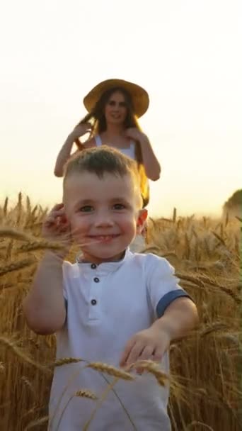 Vertical Screen Little Boy Summer Clothes Walking Wheat Crops Sister — Stock Video