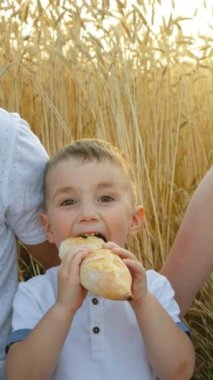 Anne ve baba küçük oğlunun buğday tarlasında piknikte baget yemesini izliyor. Mutlu çocuk gün batımında kırsalda yemeğin tadını çıkarıyor. Aile kavramı