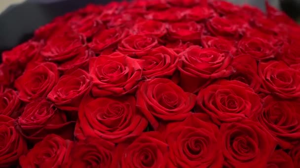 上からワインの日のための赤いバラのスピニング花束 穏やかな花を背景に回転を閉じます ロマンチックな機会 結婚式 記念日のための完璧な贈り物 — ストック動画