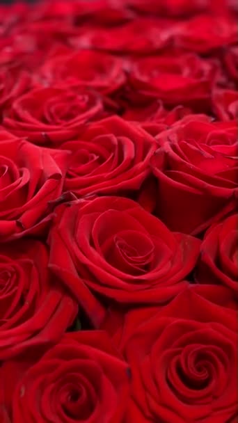 Vertical Screen Spinning Bouquet Red Roses Vilentines Day Closeup Rotating — Stock Video