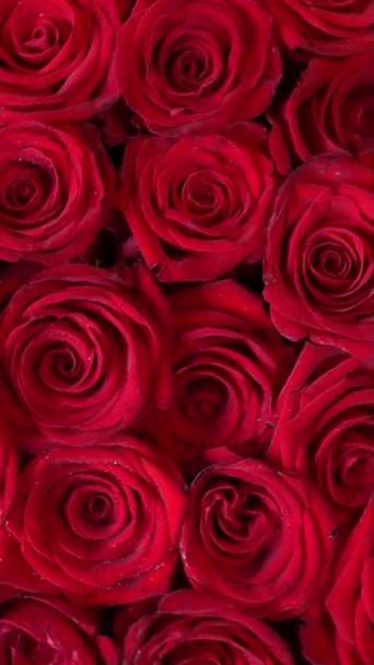 縦型スクリーン 上から一日中赤バラの花束を回転させます 穏やかな花を背景に回転を閉じます ロマンチックな機会 結婚式 記念日のための完璧な贈り物 — ストック動画