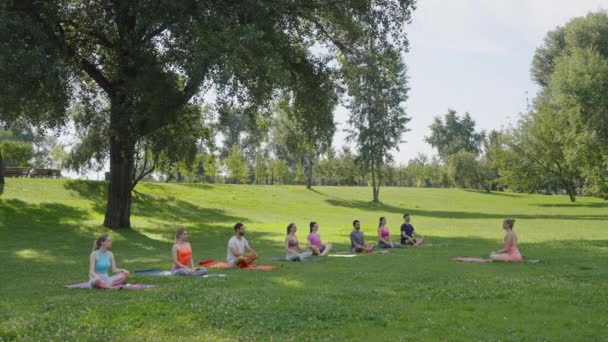 日当たりの良い夏の公園の実践者に鼻呼吸技術を説明する女性のインストラクター ロータスのポーズで一緒に代替鼻腔運動を実践するヨガグループ 健康的なライフスタイルをコンセプト — ストック動画