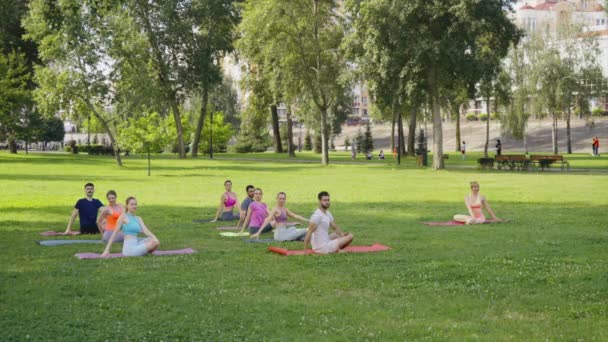 Różnorodna Grupa Ćwicząca Jogę Pozuje Razem Słonecznym Letnim Parku Klasa — Wideo stockowe