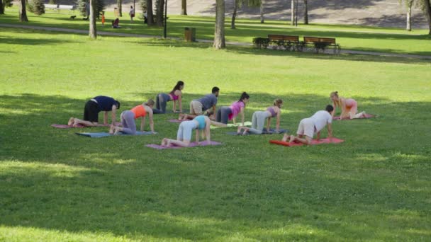 Практикующие Женщины Тренера Выполняют Упражнения Растяжку Различные Группы Практикующих Backbend — стоковое видео
