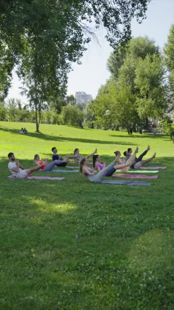 垂直屏风 年轻的运动健将 练习瑜伽 伸展在纳瓦萨纳体操中 在城市公园里 不同的团体坐在一起 在小船上保持平衡 健康的生活方式概念 — 图库视频影像