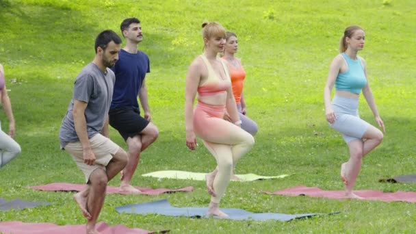 在阳光灿烂的夏季公园里 女教练向各种各样的年轻人解释和展示鹰的姿势 瑜伽练习者单腿平衡 一起练习 健康和健康概念 — 图库视频影像