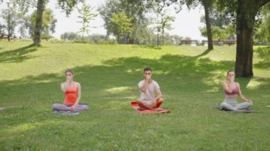 Güneşli yaz parkında pratisyenlere burun nefes alma tekniği öğreten kadın eğitmen. Yoga grubu Lotus pozunda birlikte alternatif burun deliği egzersizi yapıyor. Sağlıklı yaşam tarzını kabul et