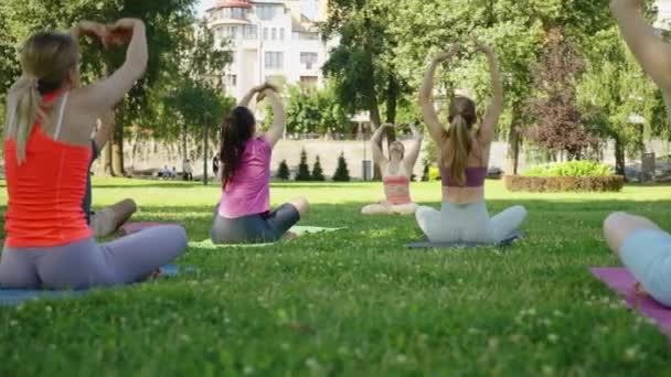 Diverse Groep Doen Stretching Oefeningen Het Volgen Van Yoga Trainers — Stockvideo
