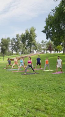 Çeşitli gruplar güneşli yaz parkında yeşil çimlerde yoga yapıyor. Gençler spor salonundalar. Sağlık ve Sıhhat kavramı