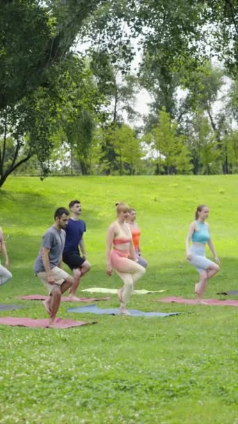 垂直屏风 女教练在阳光灿烂的夏季公园向年轻人解释和展示鹰的姿势 瑜伽练习者单腿平衡 一起练习 健康和健康概念 — 图库视频影像